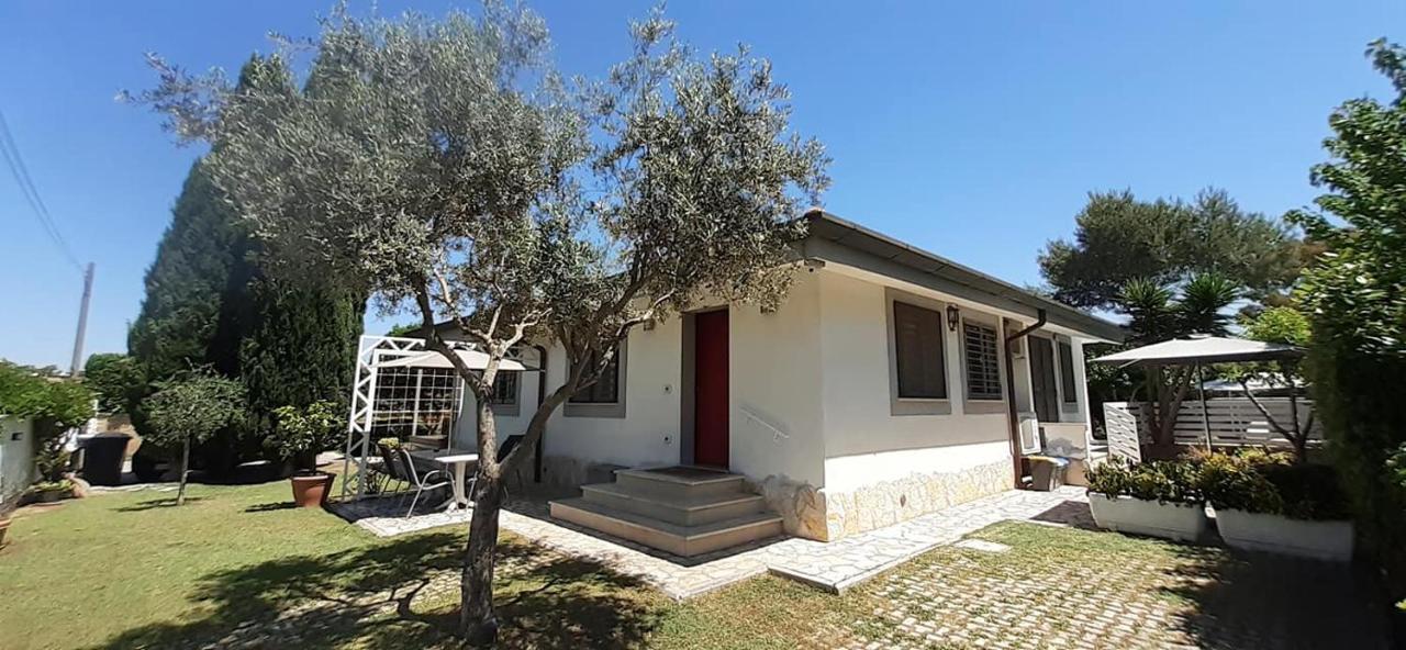 Gens Mundi B&B Ostie Extérieur photo